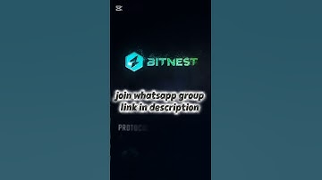 Bitnest | stake live video | bitnestloop