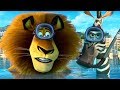 DreamWorks Madagascar | Alex and Marty Best Friends | Madagascar Funny Scenes | Kids Movies