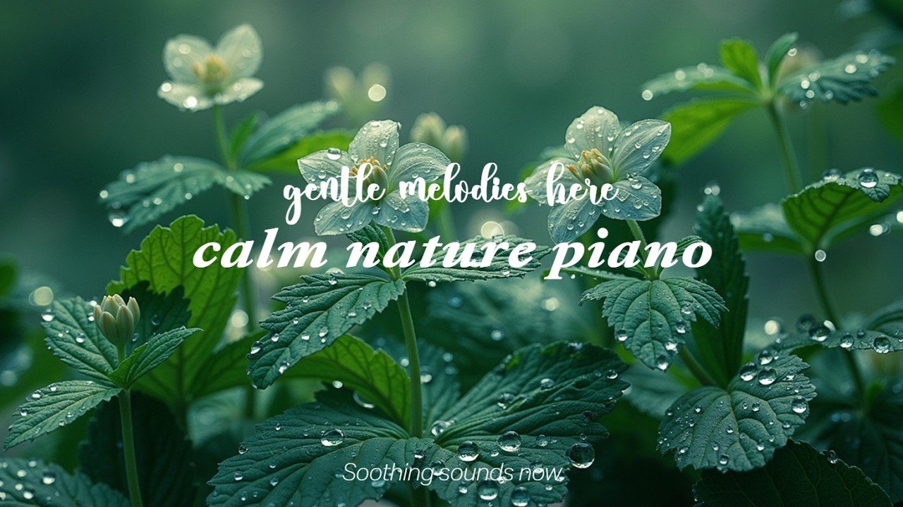 Расслабляющая музыка для глубокого сна, снятия стресса и тревоги