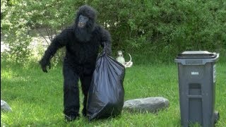 GARBAGE INVADING BIGFOOT CAUGHT ON TAPE