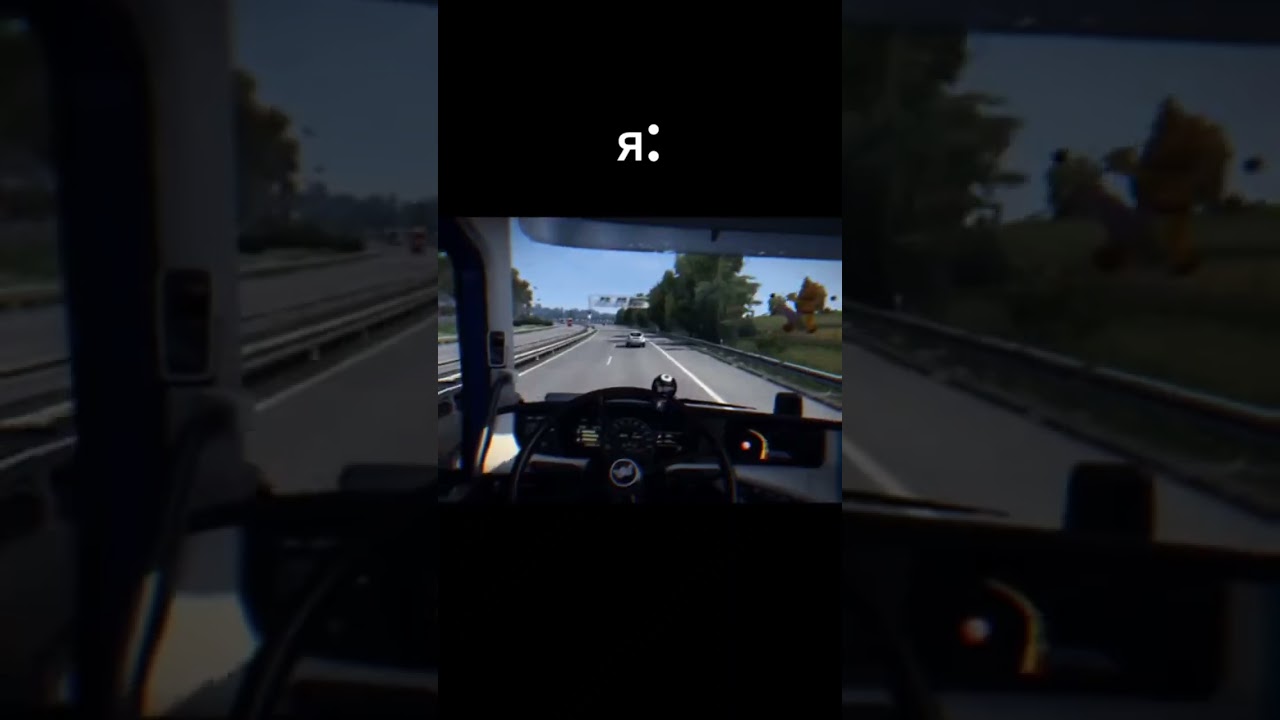 Для чего ДЕЙСТВИТЕЛЬНО играют в ETS20 