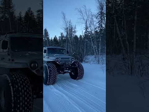 ТРЭКОЛ-Барсик