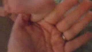 Lilys Hands And Feet