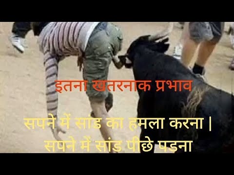 सपने में सांड का मारना | सपने में सांड पीछे पड़ना | सपने में लाल सांड देखना |  swapan shastra