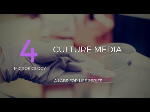 Culture Media