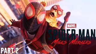 Spider-Man Miles Morales - Saving a Spider-Cat Gameplay / Walkthrough(no commentary )