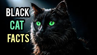 9 SHOCKING Facts About Black Cats 