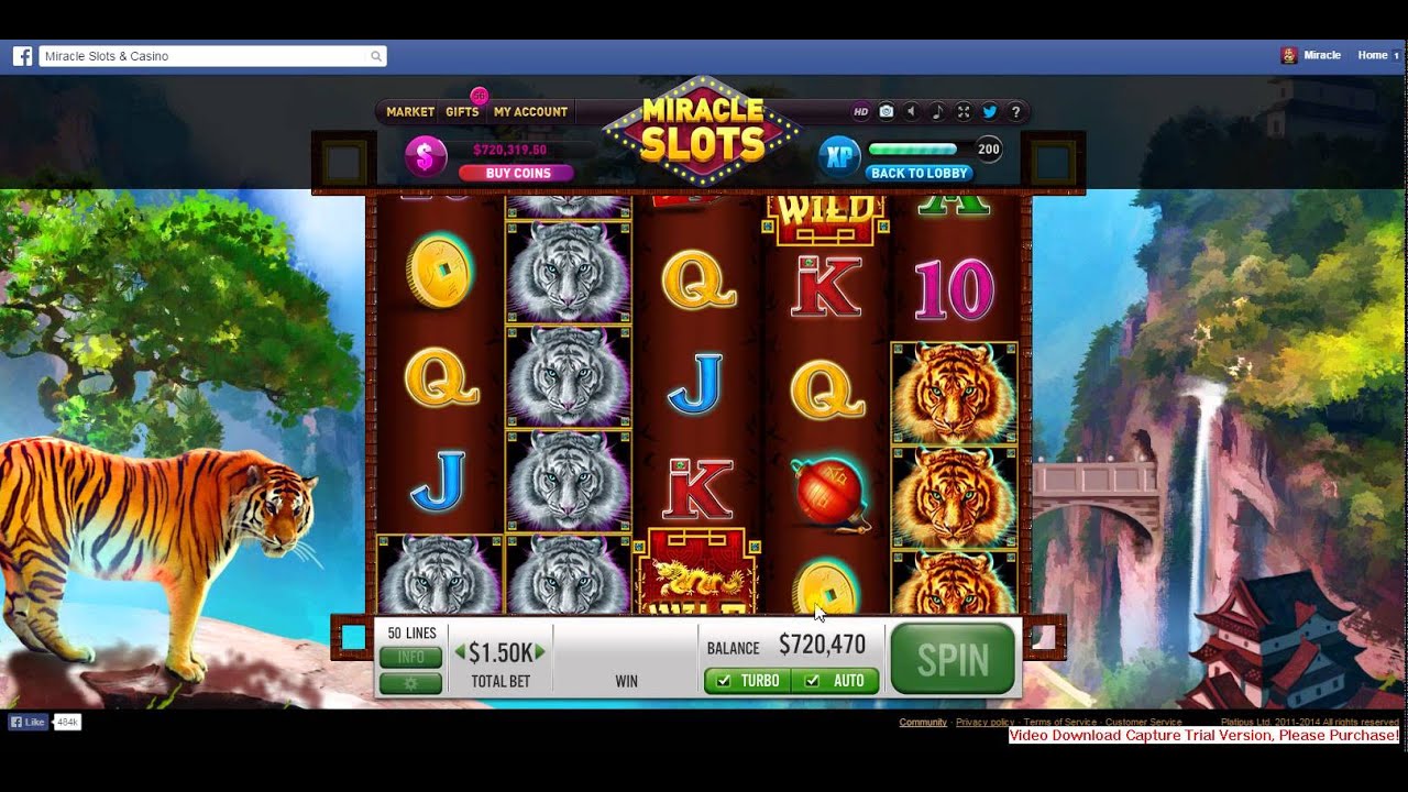 Eye Of The Tiger Slots Eye Of The Tiger Slots