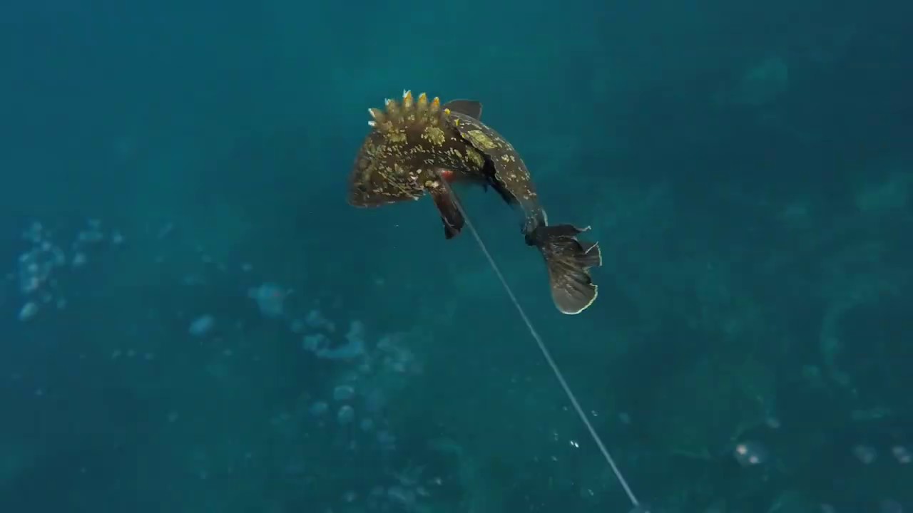 Spearfishing In Greece pt 7 