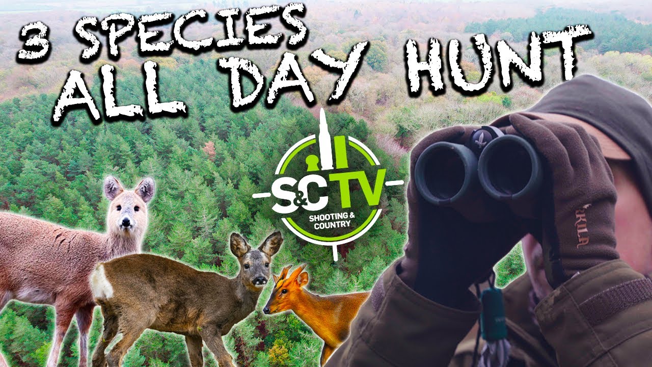 S&C TV Deer management with Chris Rogers 17 3 species, 8 deer all day hunt YouTube