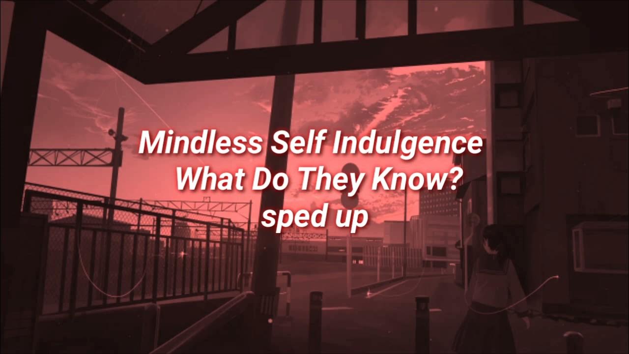 Mindless self indulgence what do they know. Mindless self indulgence what do they know