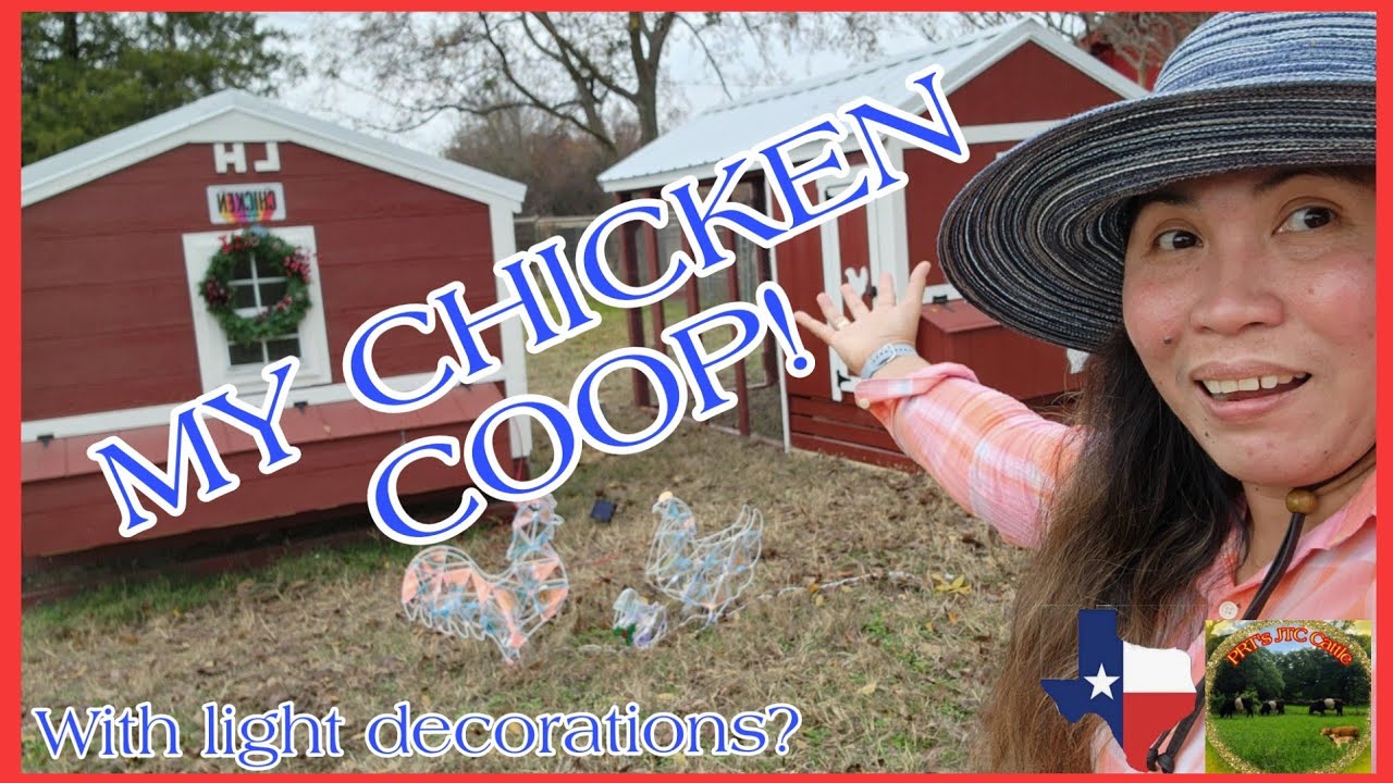 ANOTHER CHICKEN COOP DELIVERY TODAY CHICKEN COOP FOR MY CHICKENS