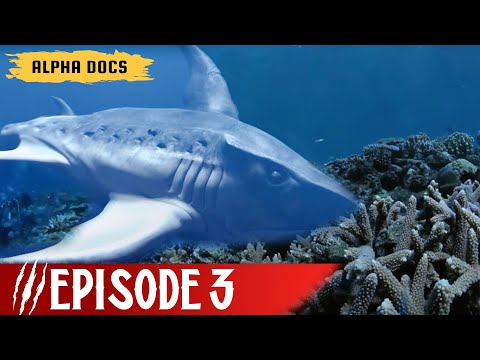 MEGAJAWS | BEAST LEGENDS | EPISODE 3