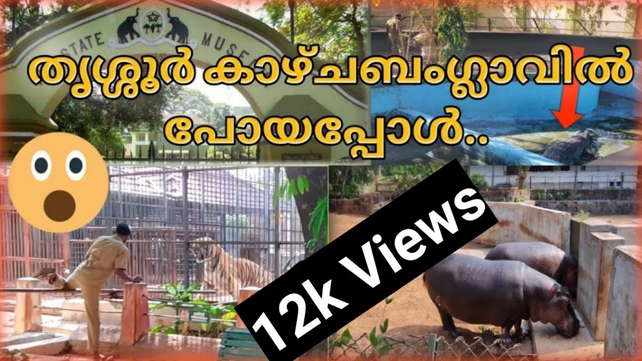 തൃശ്ശൂർ കാഴ്ചബംഗ്ലാവിലെ ഇപ്പോളത്തെ കാഴ്ചകൾ |thrissur zoo| thrissur kazchabanglavu |animals|kerala