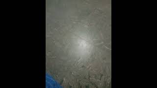 An Alternative for Alcohol and Cigarettes. Forgive me for my average English i used in that Video