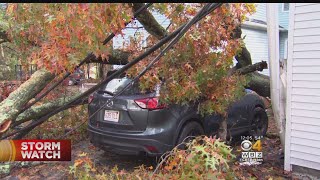 Storm Sends Tree Crashing Down On Car In Saugus