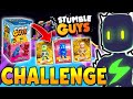 Le CARTE DECIDONO le MIE SKIN da USARE! CHALLENGE su STUMBLE GUYS