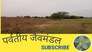 परवतय जवमडल