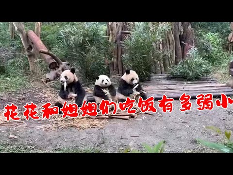 润玥的吃笋速度，取决于花花的剥笋速度，你剥多块我吃多块！