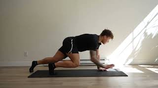 Cat Crawl | GOATA Movement