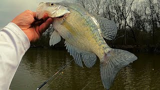 Crappie fishing just before they spawn by Fish Yanker 11,256 views 1 month ago 22 minutes