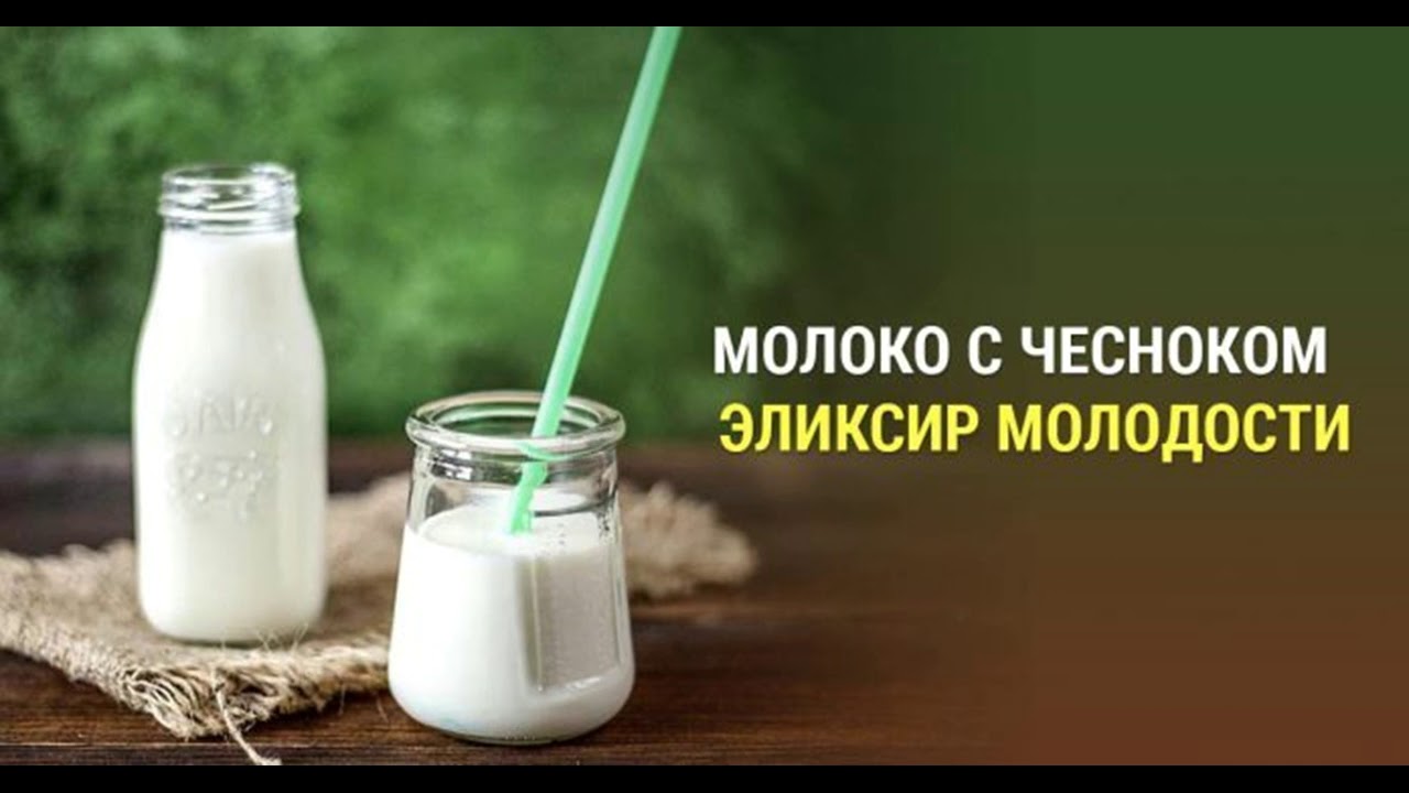 Чеснок с молоком. Чесночный эликсир молодости. Чеснок с молоком – рец. Чеснок с молоком рецепт эликсира молодости.