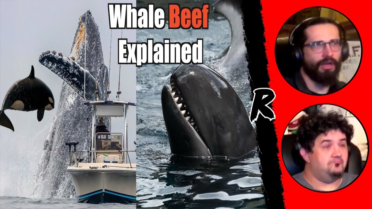 The Science Behind the Gang Wars of Whales - @Casual Geographic | RENEGADES REACT