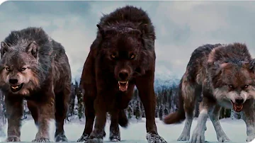 Born Among Wolves | Action Movie Full Length English |  | Full Action Movies HD