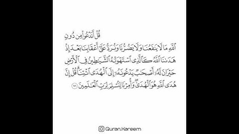 القارئ سعد الغامدي - سورة الأنعام - الآية 71