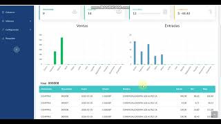 2 Como Funciona Adnubis ERP Resumen de Ventas y Compras
