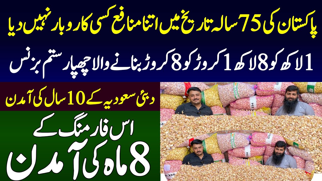 Garlic G1 Business in pakistan with highly profit feasibility