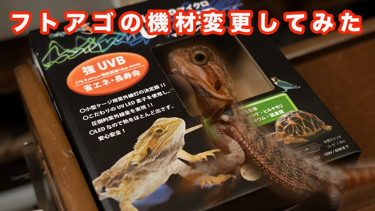 Petpetzone UVライト LED 爬虫類 フトアゴヒゲトカゲ フトアゴ機材変更！！マイクロ UV LEDを導入してみた - YouTube