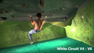 Purple And Green Zones Reset 21092015