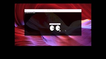 X11 Forwarding under Mac OS with XQuartz