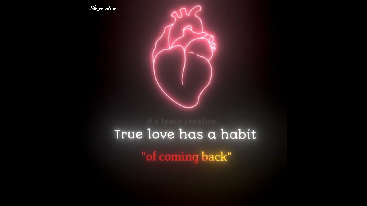 TRUE LOVE ALWAYS COMES BACK ❣️|