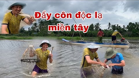 Đẩy Côn Độc Lạ Bắt Cá Đồng Mùa Nước Nổi Miền Tây