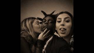 [FREE] Kodak Black Type Beat 'Lead The Way'
