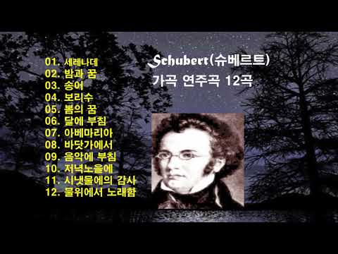 ♣Schubert(슈베르트) 가곡 연주곡 12곡 모음♣