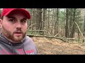 How to create a no till clover woods food plot