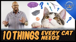 Everything You Need for Your Cat | 10 Cat Essentials for New Guardians screenshot 4