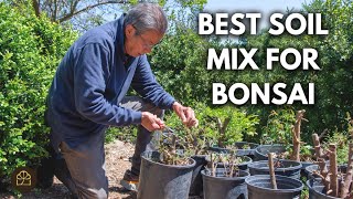 Bonsai Techniques: A Unified Approach to Soil Mix, Watering, and Fertilizing by Bonsai Heirloom 4,659 views 9 days ago 13 minutes, 10 seconds