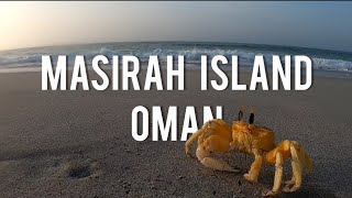 Must see in Oman - Masirah Island 🇴🇲