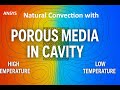 Natural Convection in Differentially Heated  Cavity with Central Porous | #cfd #ansys #simulation