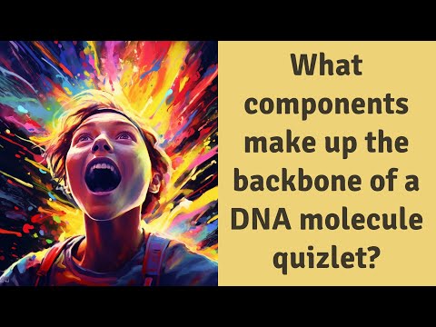 Video: Quali elementi costitutivi formano un quizlet sulla molecola del DNA?