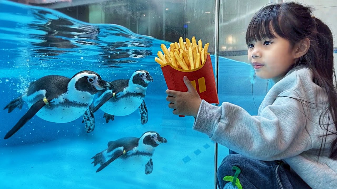 ร้านอาหารประเทศจีน กินข้าวกับนกเพนกวิน | บริ้งค์ไบรท์