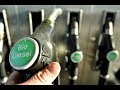Energías Renovables- Producción de Biodiesel   - TvAgro por Juan Gonzalo Angel