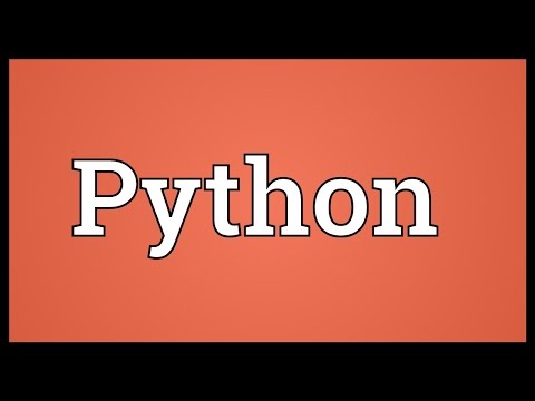 Python Meaning