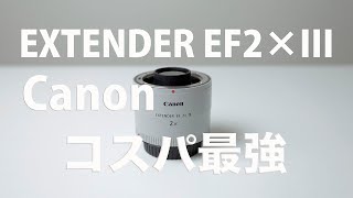 Canon EXTENDER EF2×IIIのススメ【コスパ良し】