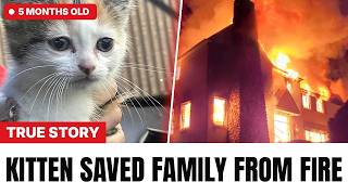 If It Wasn’t For The Cat, The Whole Family Would Have Been Dead.