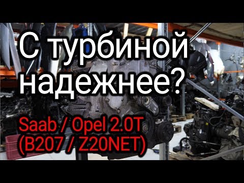 Бейне: Туббо қаншалықты дислексия?